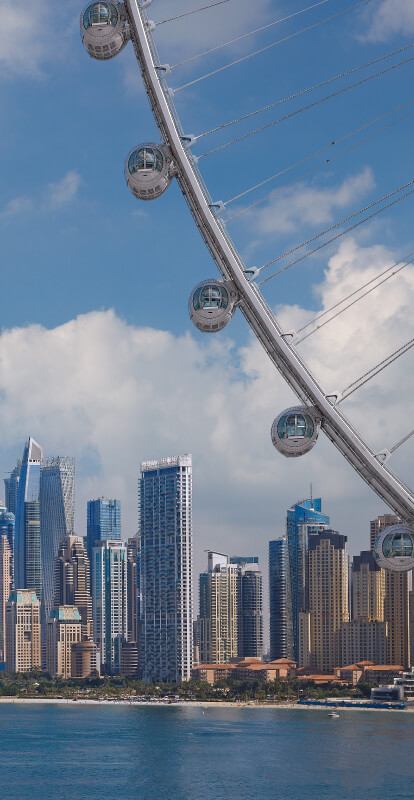 Ain Dubai Views